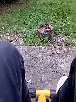 roludao fun online show from February 20, 9:15 pm