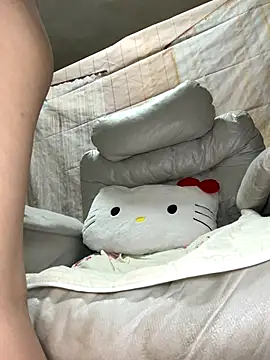 Snapshot of 798PPTT chatting on October 20, 12:27 pm 798PPTT online show from October 20, 12:27 pm