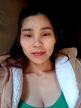 Bear bear0 online show from November 26, 3:29 am