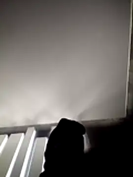 Snapshot of portuguesacasada chatting on November 12, 6:30 pm portuguesacasada online show from November 12, 6:30 pm