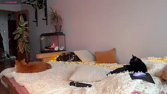 Snapshot of Lin_Cherie chatting on November 20, 11:21 am Lin Cherie online show from November 20, 11:21 am