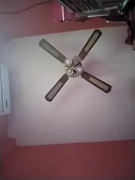 Danii2005 online show from December 17, 5:30 pm