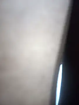 Sissy Aishu online show from November 1, 6:15 am