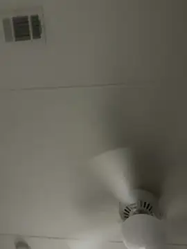 D13ON3L online show from November 8, 8:03 am