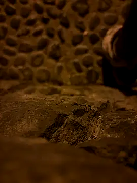 Snapshot of Rico1_1 chatting on November 19, 11:38 pm Rico1 1 online show from November 19, 11:38 pm