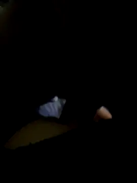 Snapshot of Nnicole1223 chatting on November 2, 9:11 am Nnicole1223 online show from November 2, 9:11 am