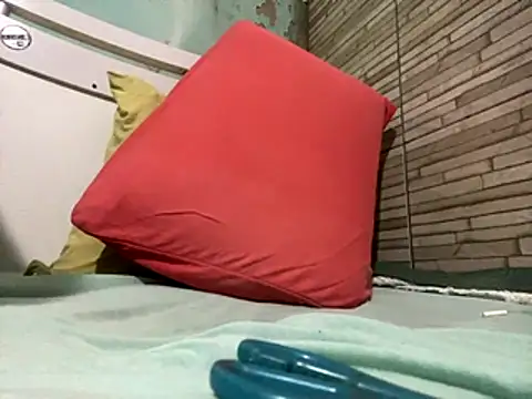 Snapshot of _DignoDePutaria_ chatting on October 30, 4:03 am DignoDePutaria online show from October 30, 4:03 am