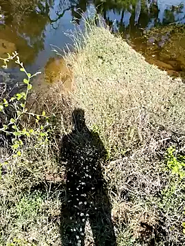 Snapshot of devil_boy_0909 chatting on November 7, 5:29 am devil boy 0909 online show from November 7, 5:29 am