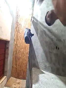 sanz957 online show from November 14, 3:49 am