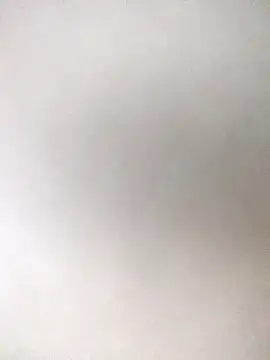 bomrk online show from December 5, 2:53 am