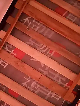 Snapshot of damian_fort1 chatting on November 17, 4:24 pm damian fort1 online show from November 17, 4:24 pm