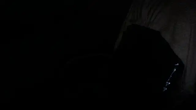 Snapshot of gygyfox chatting on November 21, 10:52 pm gygyfox online show from November 21, 10:52 pm