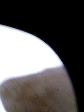 pino870 online show from February 20, 12:29 am