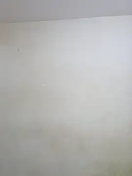 negramenta online show from January 15, 11:48 am