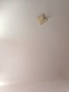 Ricardotarado online show from November 6, 1:01 pm