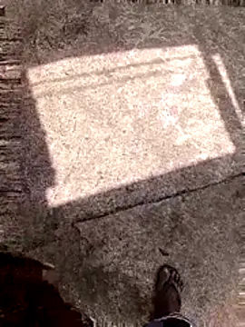 DK 9396 online show from February 16, 8:43 am