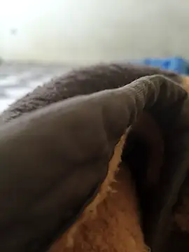 Snapshot of Realverse chatting on November 5, 4:40 pm Realverse online show from November 5, 4:40 pm