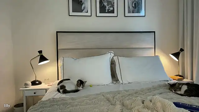 Snapshot of Itslillybloom chatting on November 7, 4:23 am Itslillybloom online show from November 7, 4:23 am