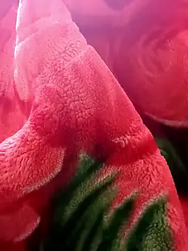 tamal2511 online show from January 9, 3:04 pm