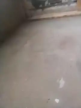 Snapshot of Lollittaxxxx2 chatting on November 11, 10:15 am Lollittaxxxx2 online show from November 11, 10:15 am