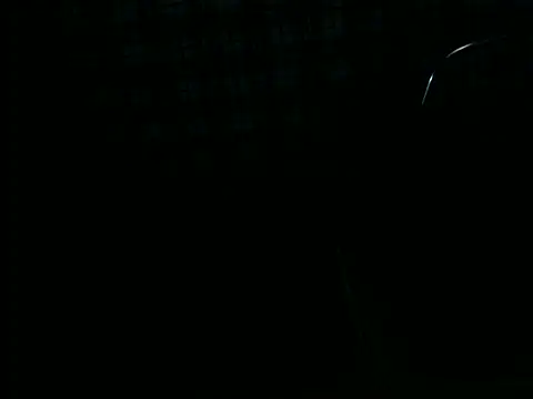 Snapshot of ellsaBunny chatting on November 6, 1:28 am ellsaBunny online show from November 6, 1:28 am