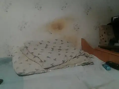 Snapshot of Kreol69 chatting on November 19, 4:51 pm Kreol69 online show from November 19, 4:51 pm