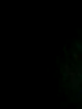 NIGHTFOX-89 online show from November 8, 5:40 am