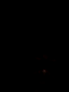 Joseerinaldo99 online show from February 14, 2:08 am