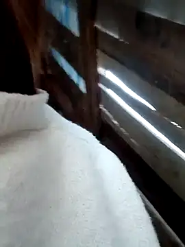 blonde blg online show from February 1, 8:24 am