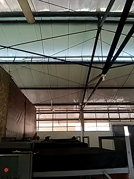 MonasticCanine online show from November 26, 11:33 am