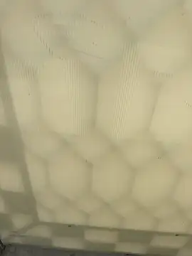 elqueteda lechita online show from April 20, 7:37 pm