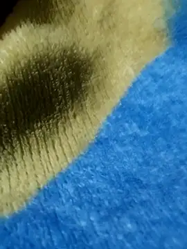 GG23MVP online show from November 30, 5:22 am