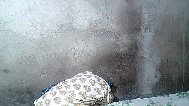 xwindyxxx online show from February 19, 6:42 am