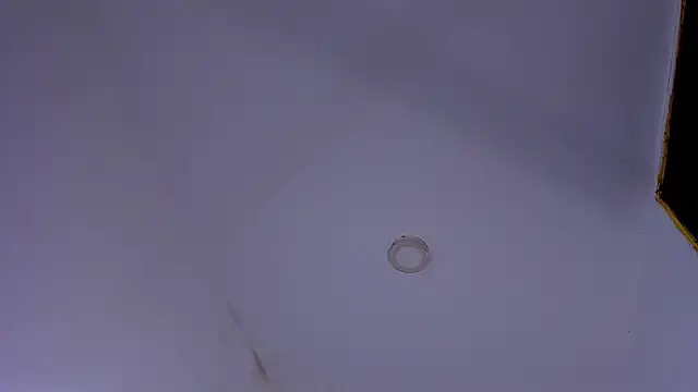 tiven-prince online show from January 10, 7:48 pm