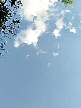 joselo2217 online show from November 25, 9:15 pm