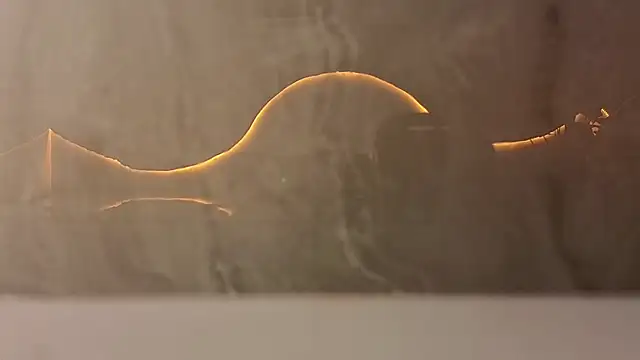 samy tp online show from December 5, 7:21 pm