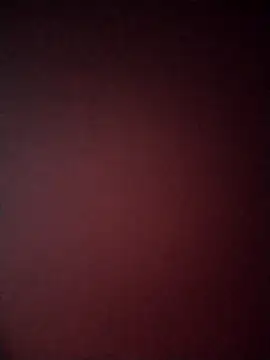 Guarnerstyle online show from December 22, 4:42 am