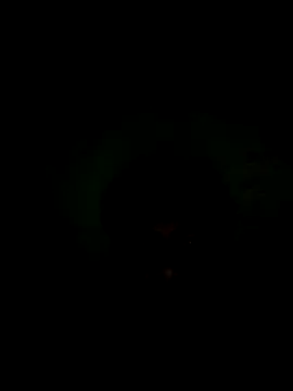 56849 online show from November 16, 6:19 am