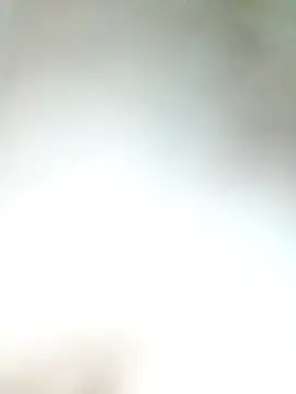 Snapshot of Pxrani chatting on November 17, 3:29 pm Pxrani online show from November 17, 3:29 pm