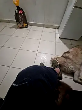 Snapshot of RITAEGIH chatting on March 2, 8:04 pm RITAEGIH online show from March 2, 8:04 pm