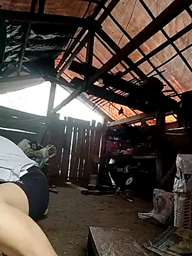 meomeo-00 online show from April 26, 6:55 am