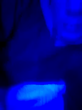 FrappedLocking online show from May 22, 8:42 am