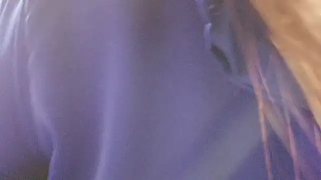 Snapshot of Foxy-lady chatting on November 9, 7:17 am Foxy-lady online show from November 9, 7:17 am