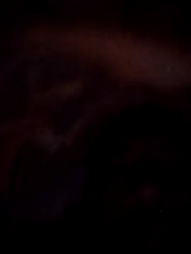 Snapshot of Roy___121 chatting on November 23, 9:03 pm Roy 121 online show from November 23, 9:03 pm