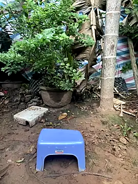 Snapshot of XndSeraphina chatting on December 3, 9:40 am XndSeraphina online show from December 3, 9:40 am