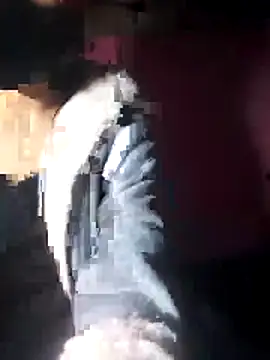 beba1100 online show from November 30, 4:11 pm