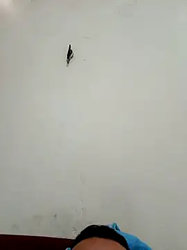 big16cmx online show from November 26, 5:58 pm