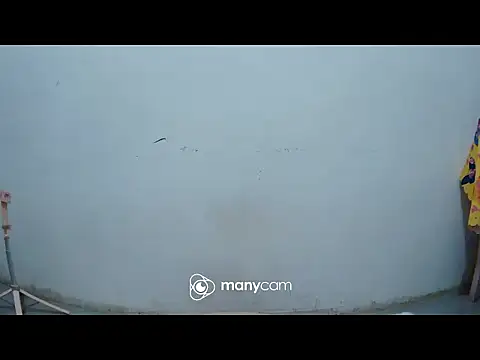 hottiemama69 online show from March 21, 8:23 pm