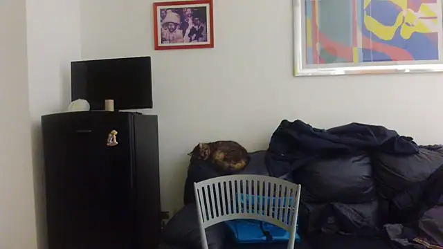 AMIRDIB2025 online show from April 18, 12:25 am