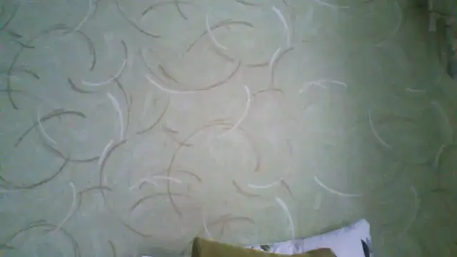 ClaireShannon online show from March 3, 8:20 am